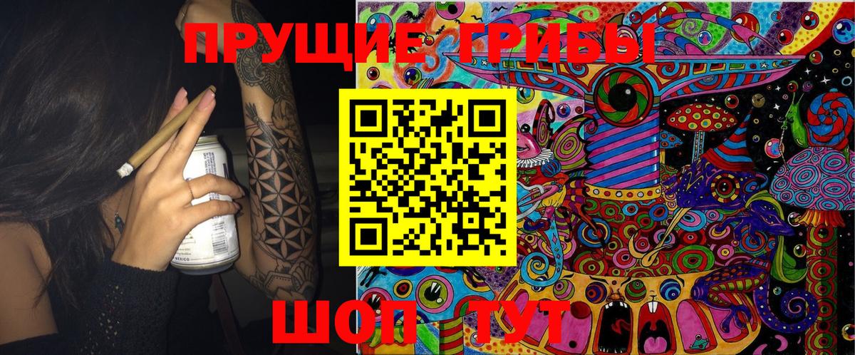 Галлюциногенные грибы Psilocybine cubensis  Вход с VPN  купить наркоту  Александров 